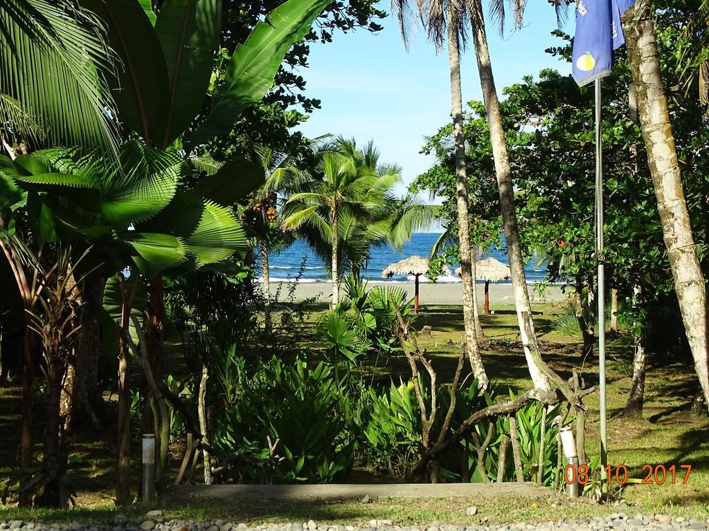 Hotel Caribbean Coconut Cahuita Exterior foto