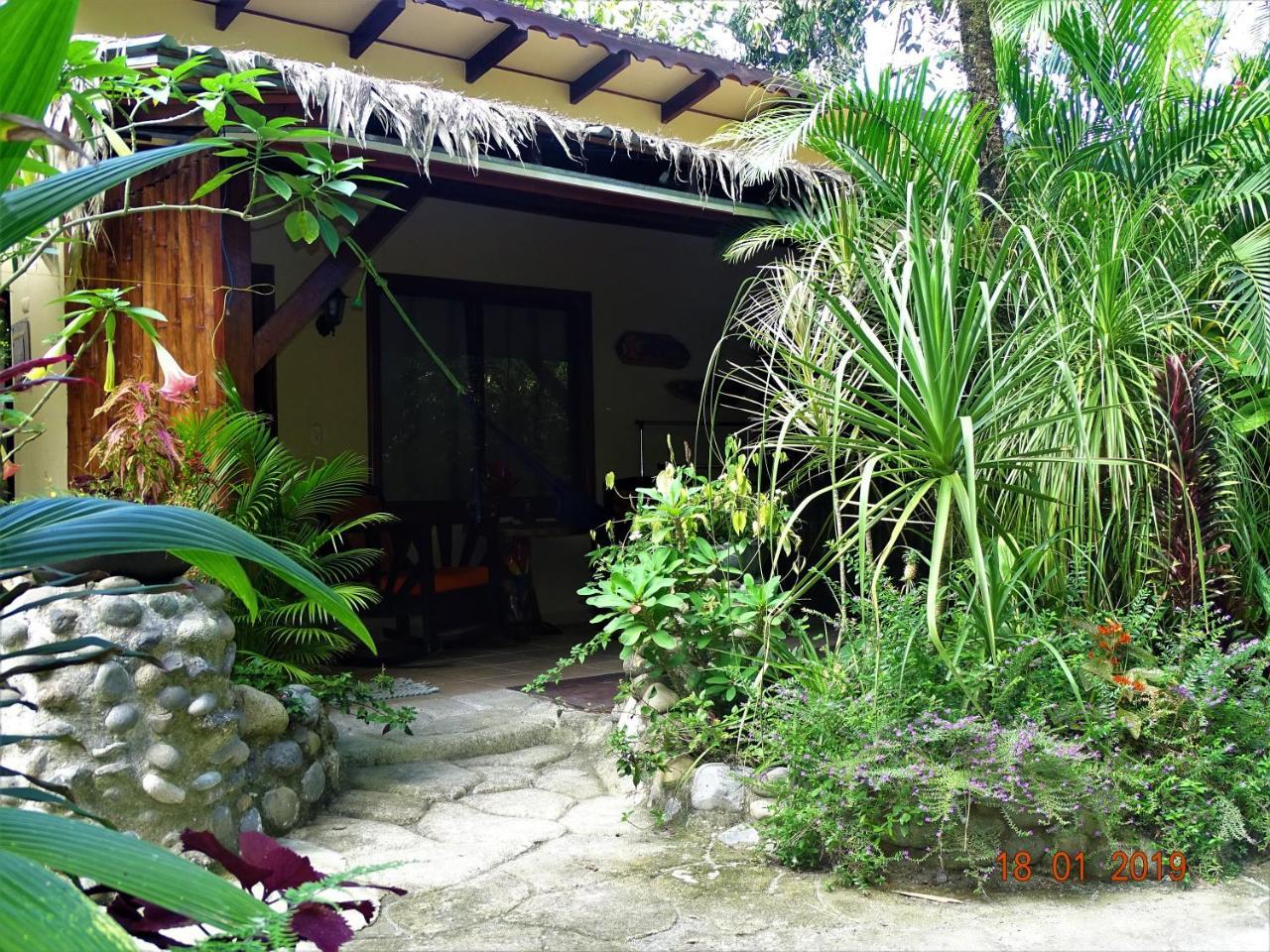 Hotel Caribbean Coconut Cahuita Exterior foto